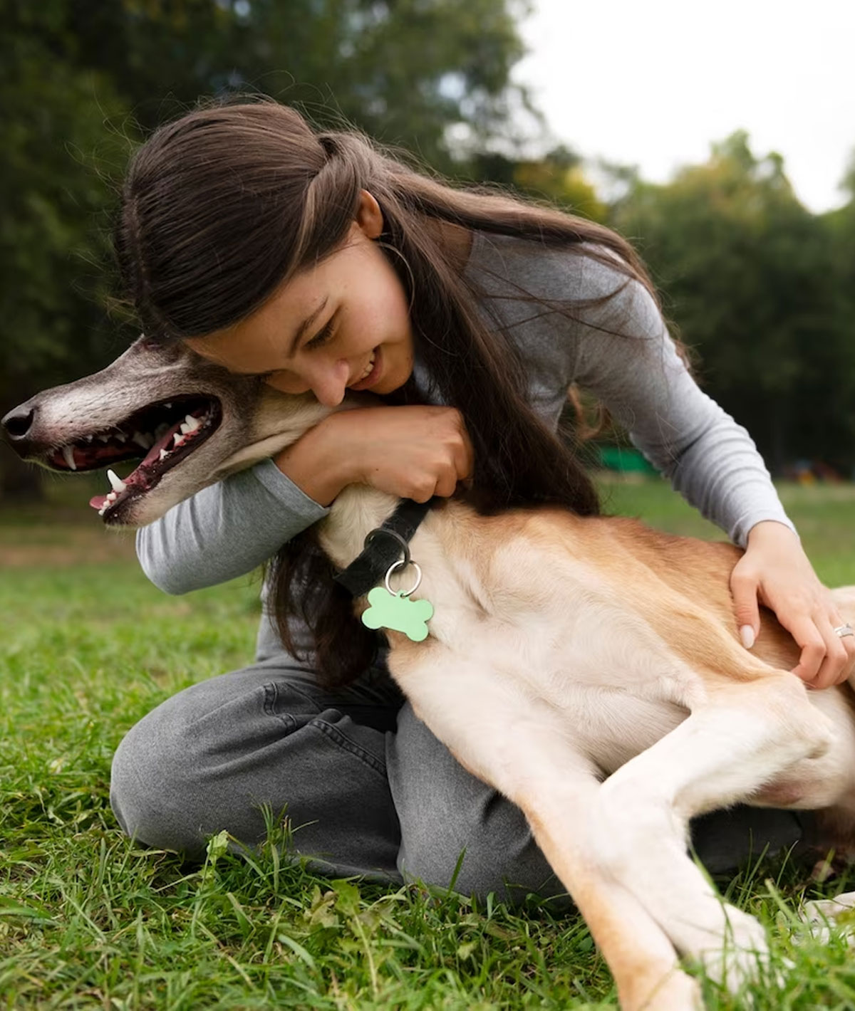 Requisitos para esterilización de mascotas