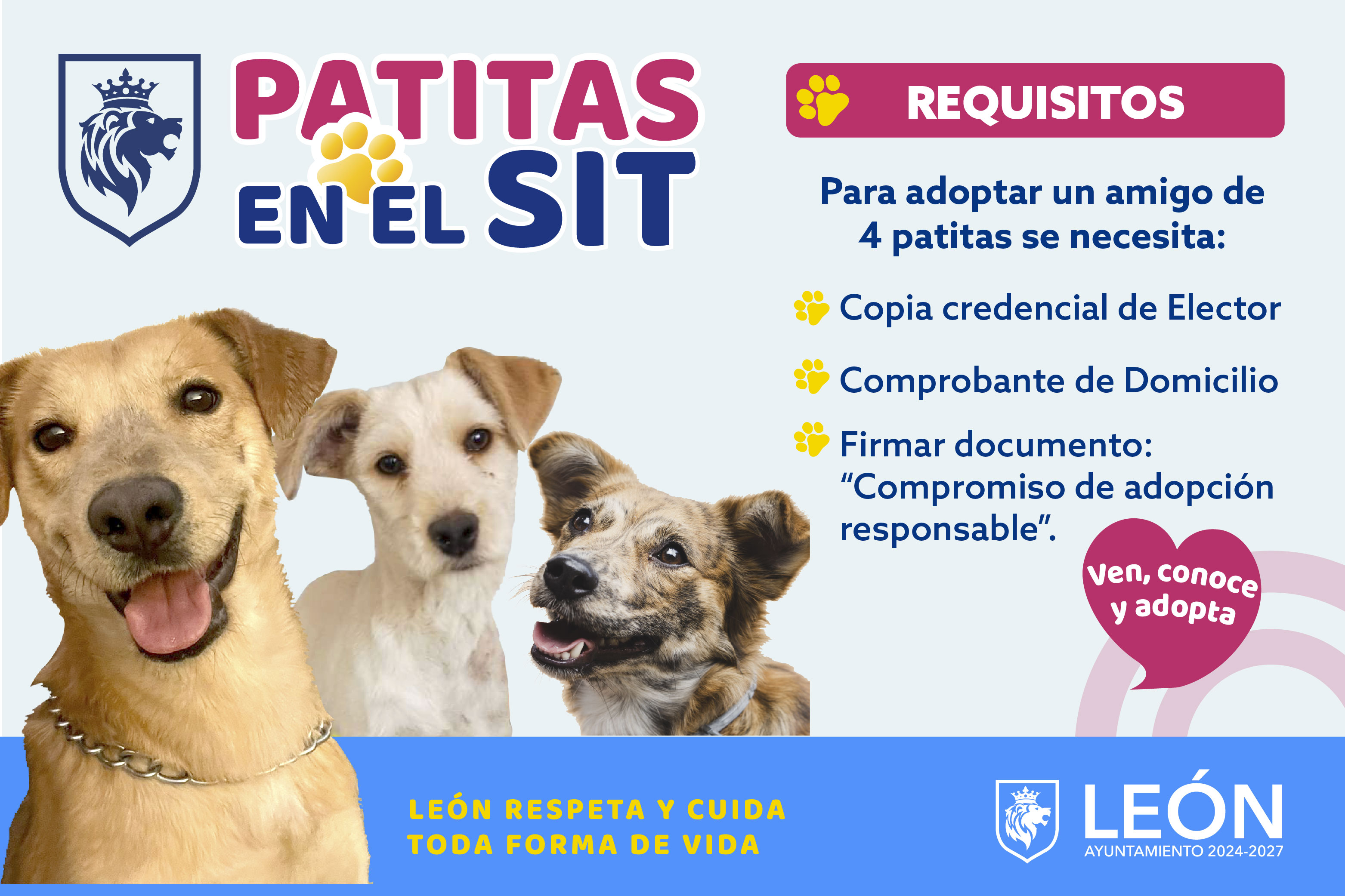 Requisitos para adopción Requisitos para adopción