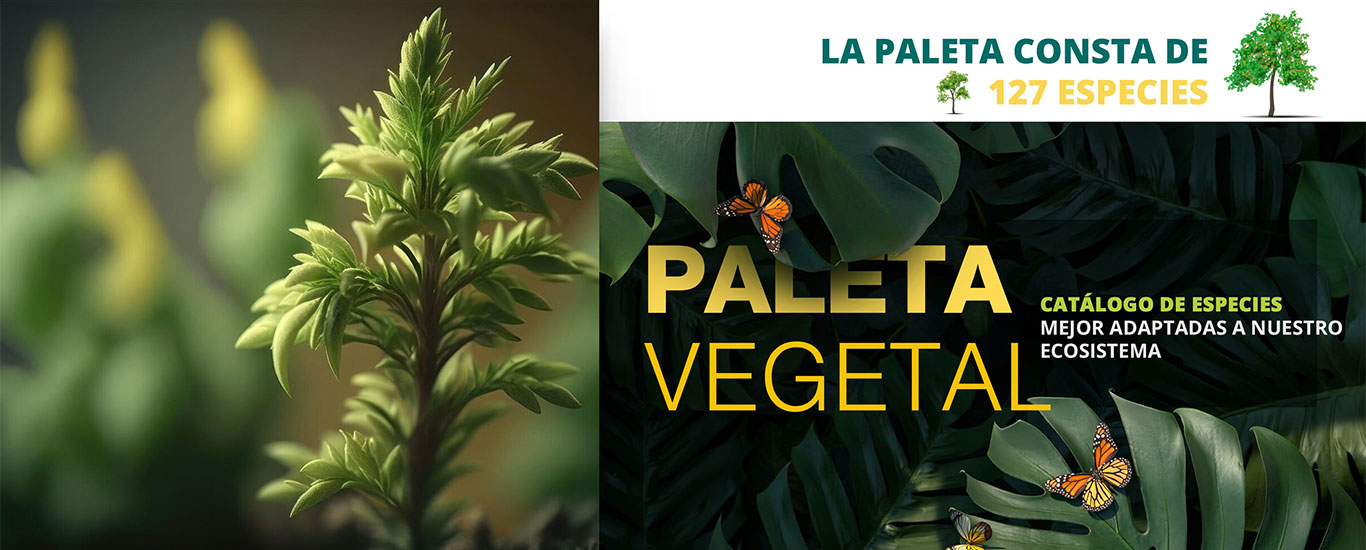 paleta vegetal
