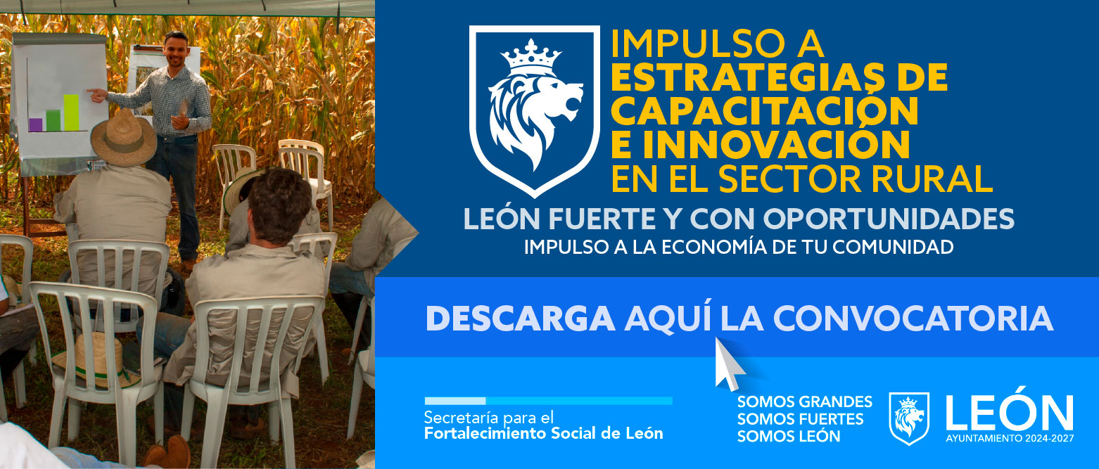 Estrategias de Capacitación