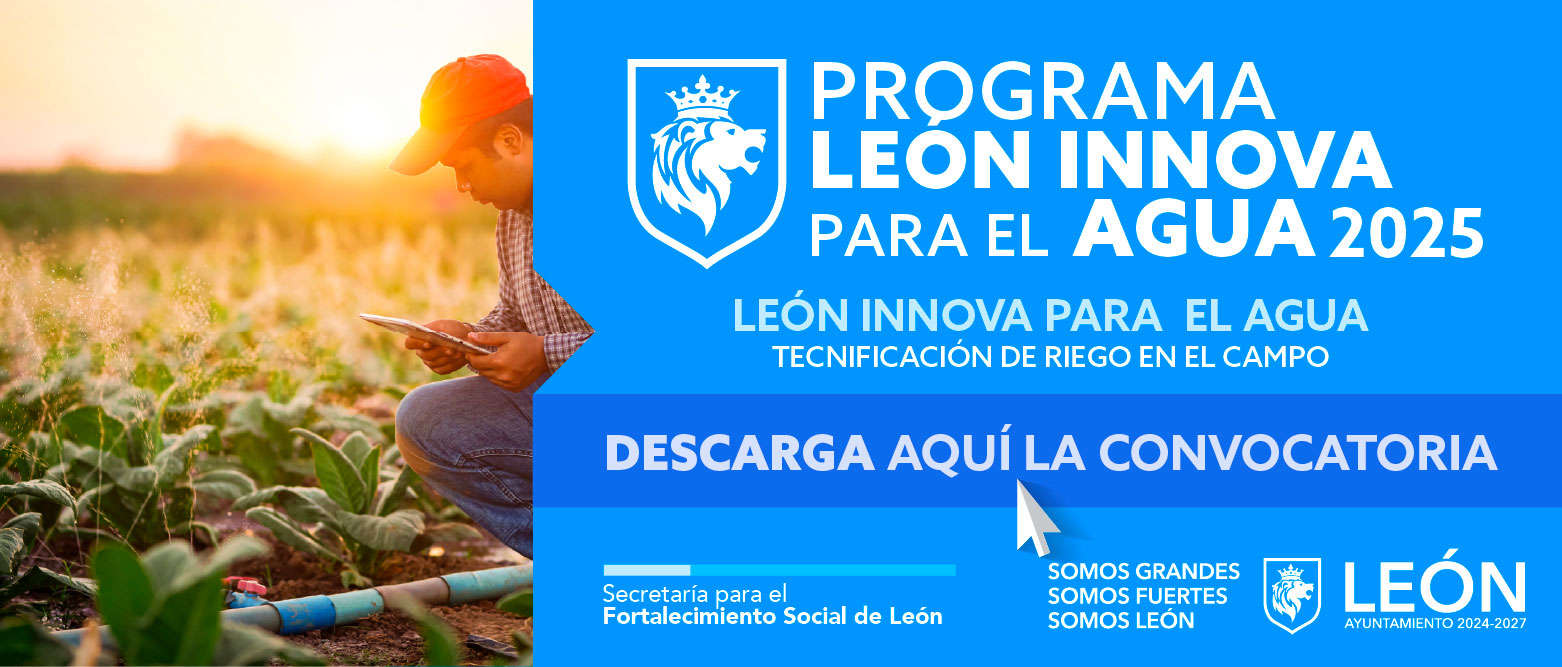 León Innova