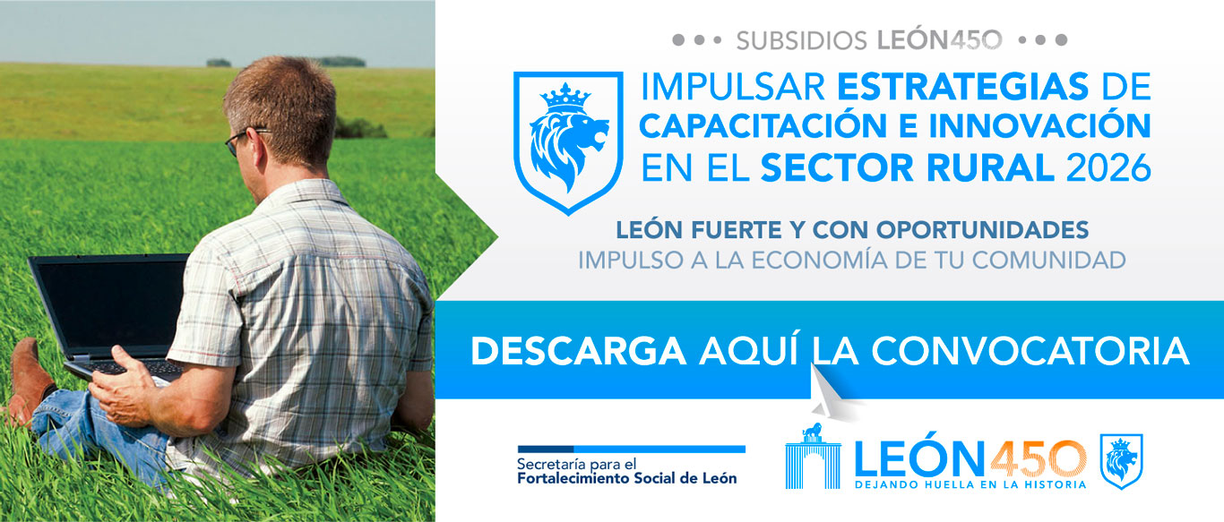 Impulsar Estrategias de Capacitación e Innovación