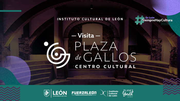 Visita Plaza de Gallos