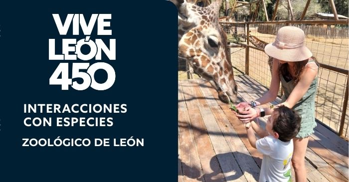 Interacciones con especies