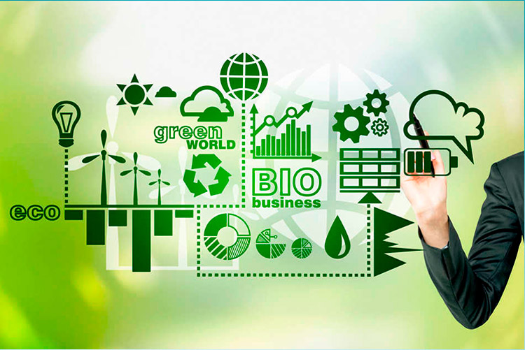 Consejo Consultivo Ambiental